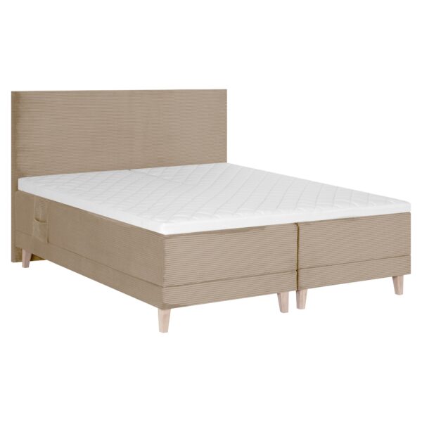 Mootorvoodi “Leonidas” - Image 2