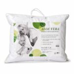 padi-aloevera-50x60-2